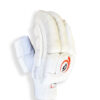 FPSI Test Cricket Batting Gloves