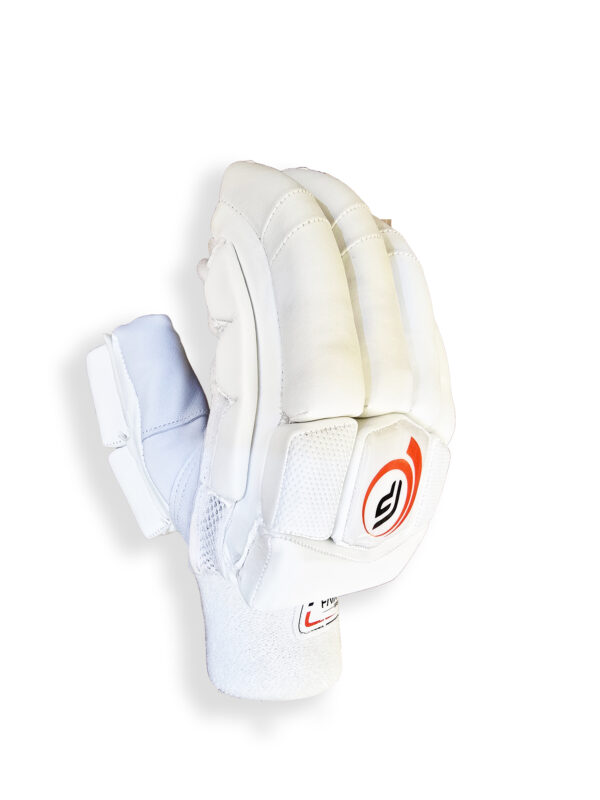 FPSI Test Cricket Batting Gloves