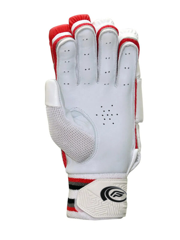 College-3 FPSI COLLEGE BATTING GLOVES | DUAL PADDED | LEATHER PALM