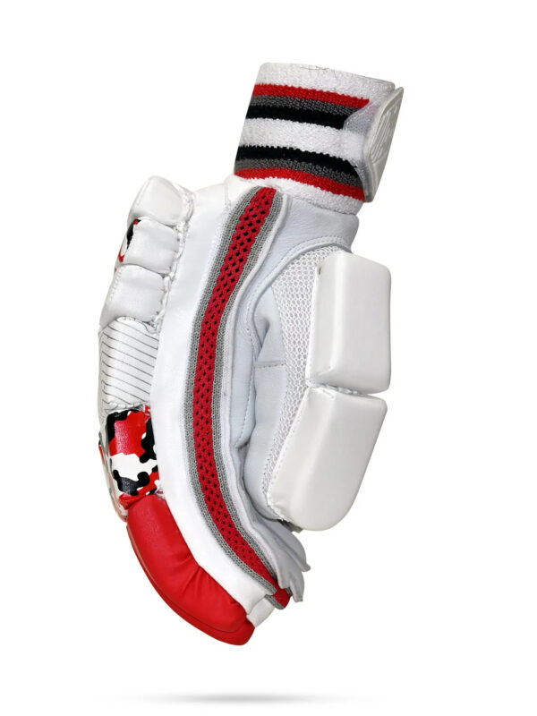 College-5 FPSI COLLEGE BATTING GLOVES | DUAL PADDED | LEATHER PALM