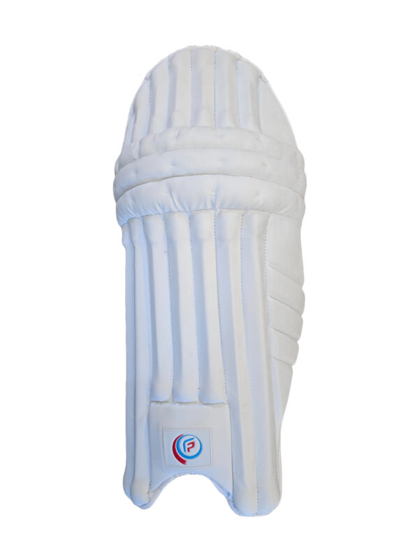 FPSI TEST BATTING LEGGUARD | LIGHT WEIGHT | KLR ED.
