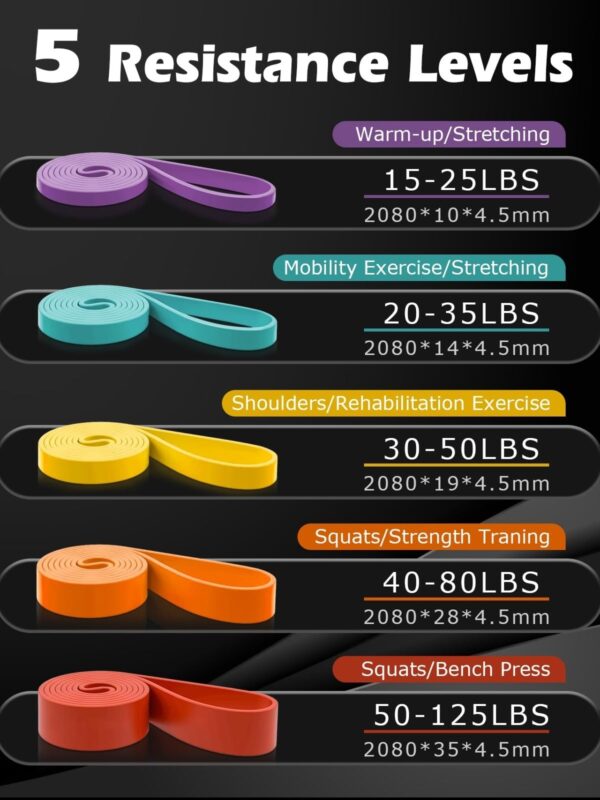 POWER BAND | HOME WORKOUT | MULTI MUSCLE TRAINER | PORTABLE | SET OF 3