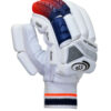 FPSI TEST BATTING GLOVES | 3 LAYERED | PLAYERS GRADE