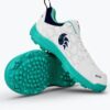 DSC Belter Cricket Shoes