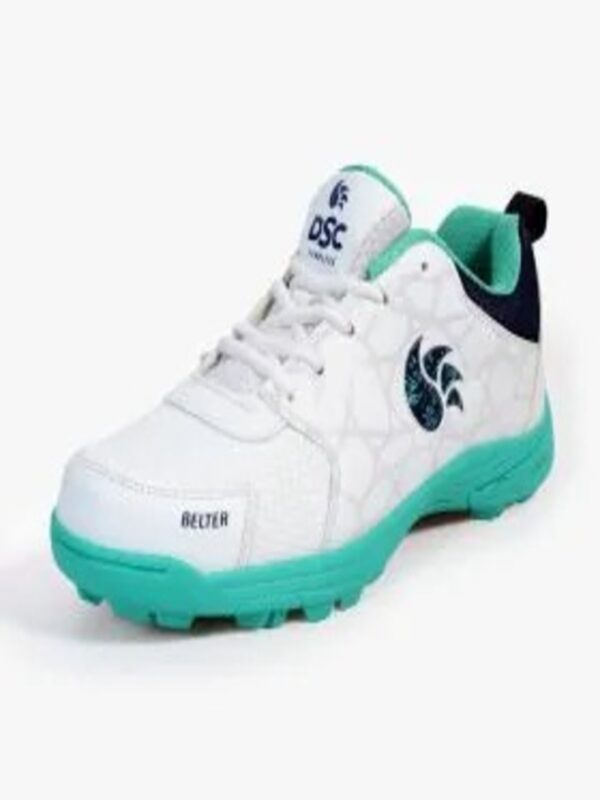 DSC Belter Cricket Shoes