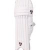 SG | TEST BATTING LEGGUARDS