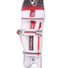 SG | TEST BATTING LEGGUARDS